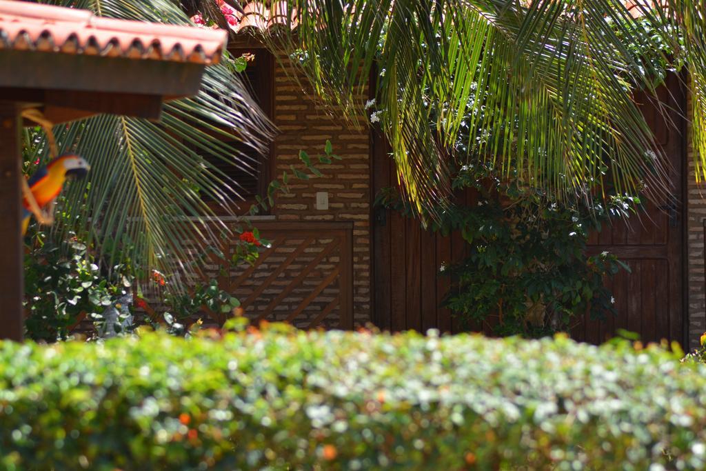 Pousada Arco Mundial Taíba Kültér fotó
